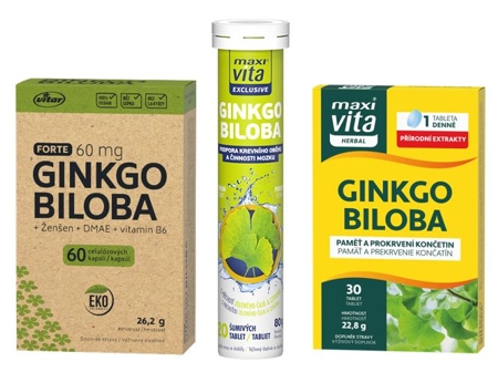 Ginkgo biloba